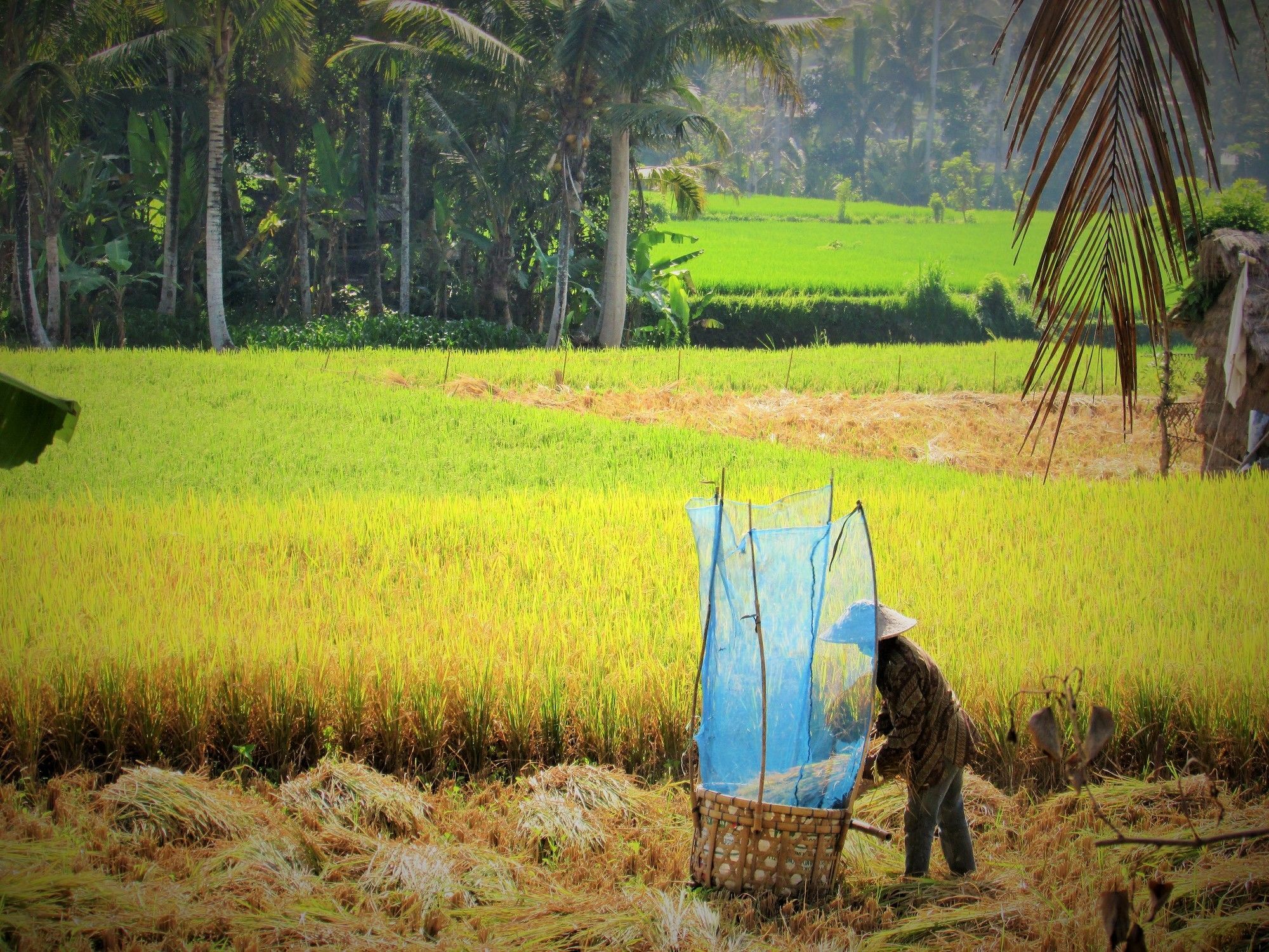 Temuku Villa Ubud (Bali)
